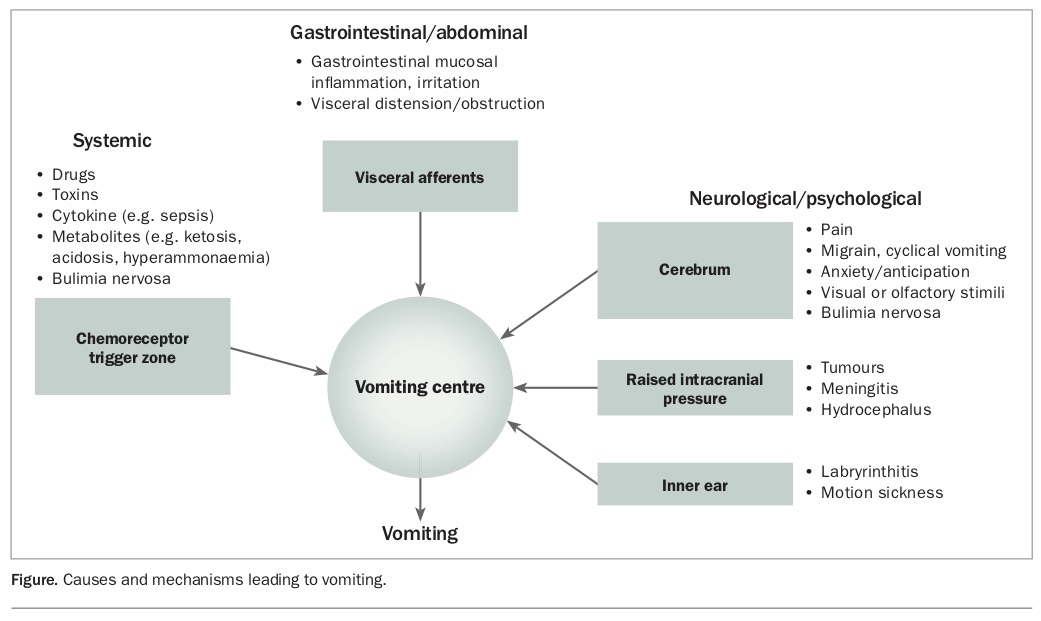 The vomiting child. Considerations and red flag symptoms Medicine Today